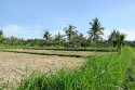 Hinterland von Amed, Bali