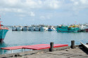 Fischerboote in Benoa Harbour, Bali