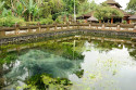 Quellteich des Pura Tirta Empul, Bali