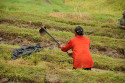 Umgraben der Reisterrassen Balis