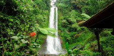 Ob der Wasserfall Git Git nun der schönste oder höchste Wasserfall Balis ist weiß man nicht. Aber er ist der berühmteste Wasserfall Git Git, Bali
