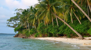 Karimunjawa Islands: Eine Auszeit von der Auszeit