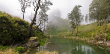 Nebel im Gunung Rinjani Nationalpark, Lombok