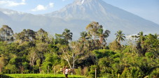 Gunung Rinjani von Sembalun, Lombok