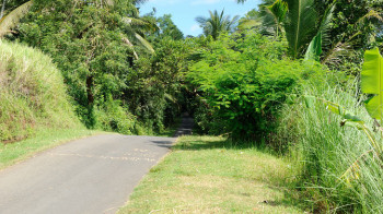 Mit dem Fahrrad auf Bali unterwegs