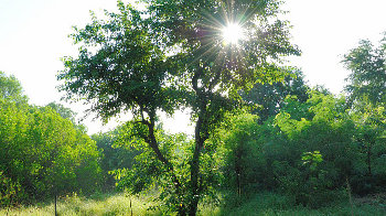 Der Nationalpark im Westen Balis
