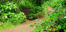 Bali und Lombok bieten viel Natur und natürlich jede Menge Möglichkeiten zum Wandern Wandern und Trekking auf Bali