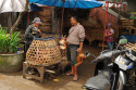Markt in Denpasar, Bali