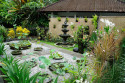 Blüten im Bali Orchid Garden in Denpasar, Bali