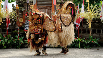 Solche Barongfiguren sind fester Bestandteil vieler Theateraufführungen in einigen Teilen Balis Barong Figur in Tanzaufführung auf Bali