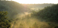 Fast der ganze Westen Balis wird vom Nationalpark, dem Taman Nasional Bali Barat bedeckt Der Nationalpark im Westen Balis