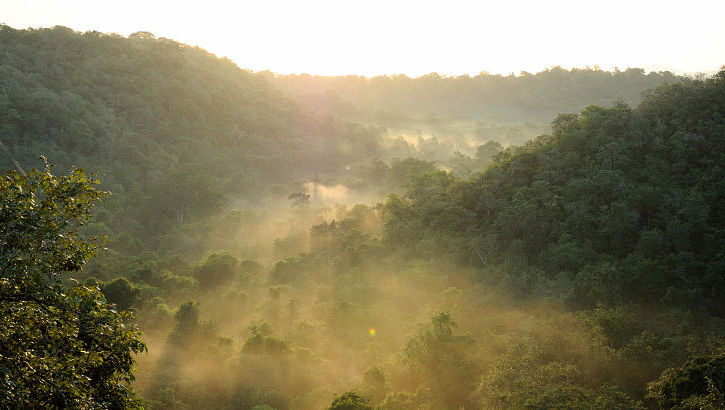 Fast der ganze Westen Balis wird vom Nationalpark, dem Taman Nasional Bali Barat bedeckt Der Nationalpark im Westen Balis