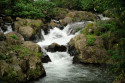 Unterlauf des Wasserfall Git Git, Bali