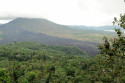 Trotz noch erkennbarer Spuren früherer Ausbrüche holt sich die Vegetation die Gegend um den Batur zurück Gipfel des Gunung Batur, Bali