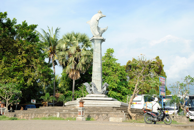 Delfin in Lovina, Bali
