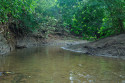 Bach im Taman Nasional Bali Barat