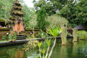 Quellteich im Pura Tirta Empul, Bali