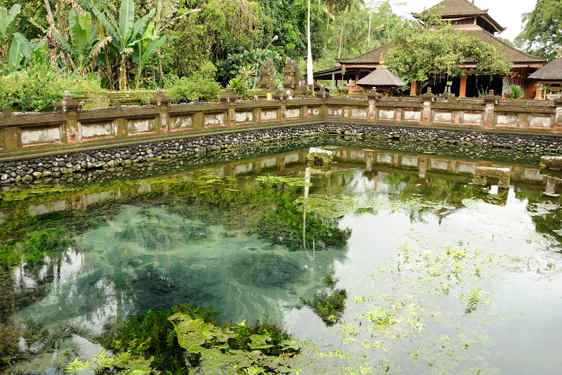 Quellteich des Pura Tirta Empul, Bali