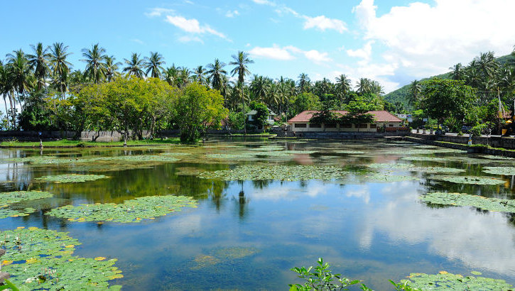Candi Dasa hat zwar keinen feinen Strand zu bieten, der romantische Seerosenteich ist aber ein beliebtes Ziel Seerosenteich in Candi Dasa, Bali
