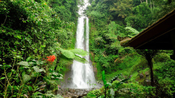 Wasserfall Git Git, Bali