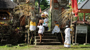 Zeremonien und vor allem Opfergaben sind eine wichtige Säule des balinesischen Glaubenssystems Zeremonie mit Opfergaben in Tempel auf Bali