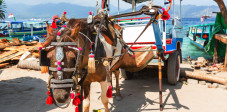 Ein Cidomo auf Gili Air. Diese einspännigen Pferdekutschen nutzen Einheimische wie Touristen zur Fortbewegung auf den Gili Inseln. Foto: © Galyna Andrushko / Shutterstock Cidomo auf den Gili Inseln, Indonesien