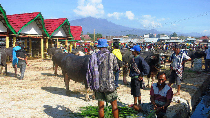 Die Geschenke für die Beerdigungszeremonie der Tana Toraja werden zuvor auf dem Viehmarkt erworben Viehmarkt der Tana Toraja, Sulawesi
