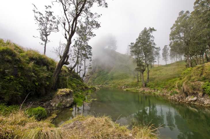 Im Gunung Rinjani Nationalpark auf Lombok hüllt sich die Landschaft im Hochland oft geheimnisvoll in den Nebel. Foto: © Shahrul Azman / Shutterstock Nebel im Gunung Rinjani Nationalpark, Lombok
