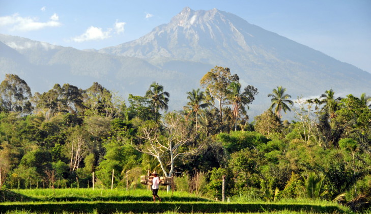 Der Blick auf den mächtigen Gunung Rinjani, der sich von Sembalun aus bietet, macht Lust auf ausgedehnte Wanderungen. Gunung Rinjani von Sembalun, Lombok
