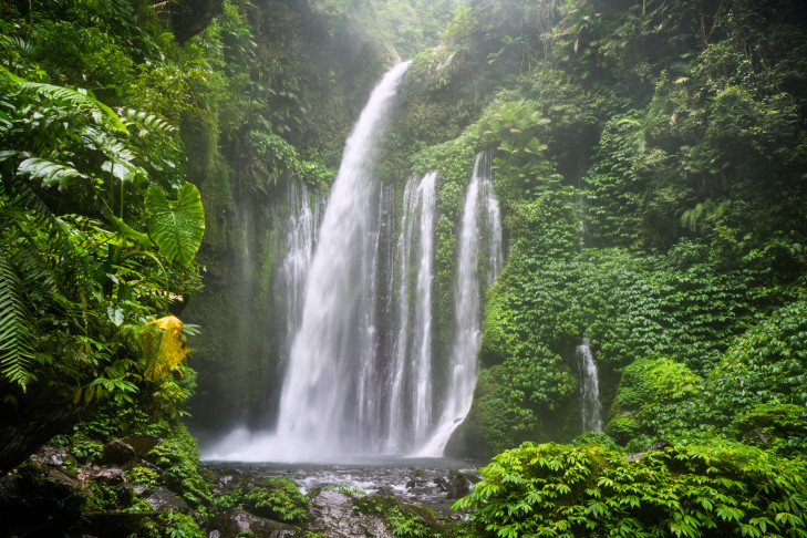 Der 41 Meter hohe Tiu Keleb Wasserfall in der Nähe von Senaru ist ein beeindruckendes Naturschauspiel. © Ivoha / Shutterstock Tiu Keleb Wasserfall bei Senaru, Lombok
