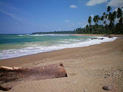 paradies-strand